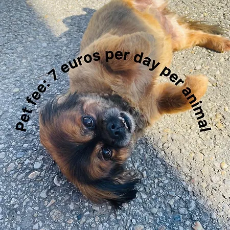 Vamis Διαμέρισμα *